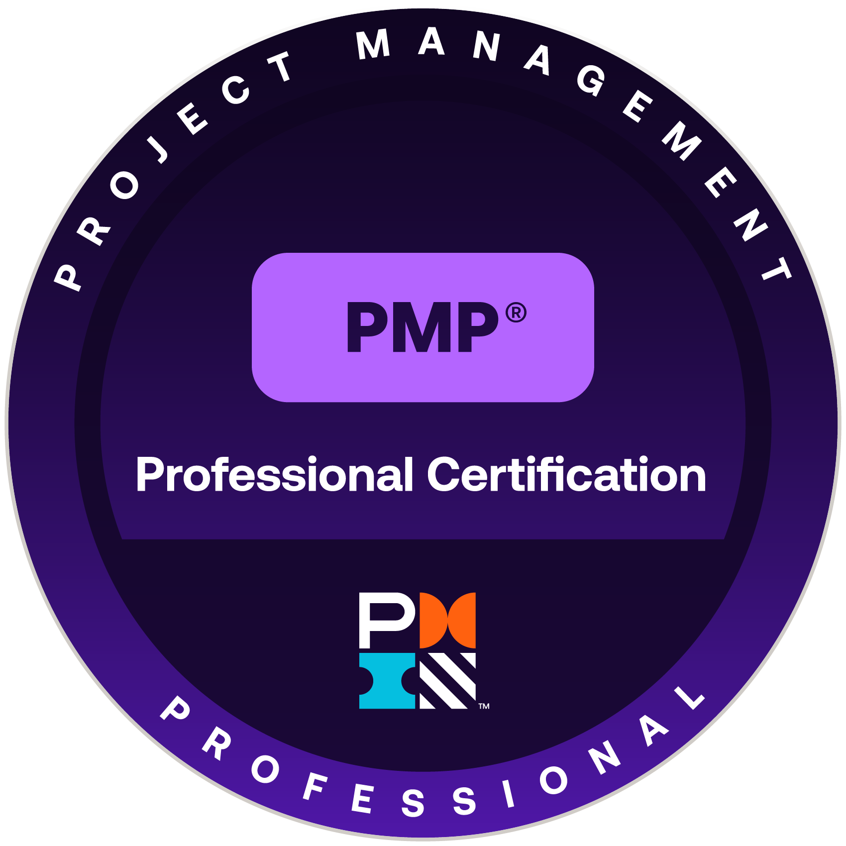 Dr. Michael Gorski 30 PMP – Project Management Professional